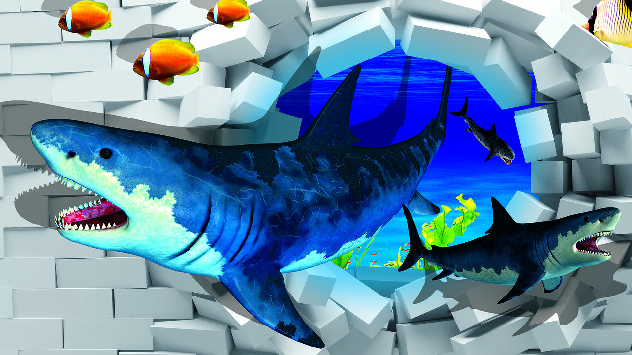 Shark Bite